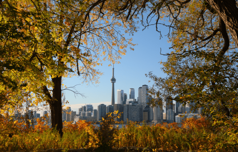 Autumn is officially upon Toronto, complete your fall city getaway with our exclusive limited time offers.